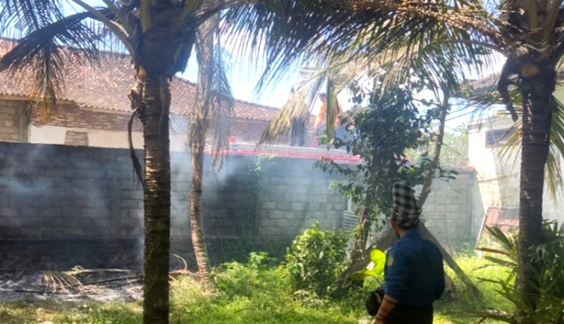 www.nusabali.com-bakar-sampah-kebun-dan-rumah-nyaris-terbakar