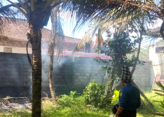 Nusabali.com - bakar-sampah-kebun-dan-rumah-nyaris-terbakar