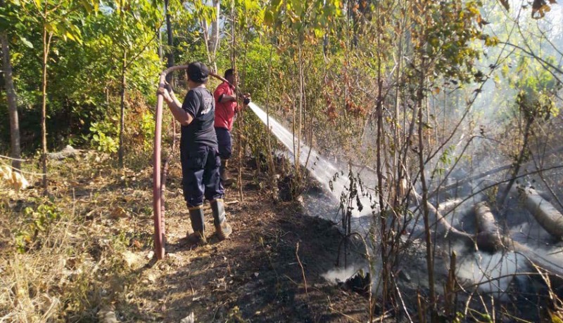 www.nusabali.com-18-ha-kebun-mete-di-buana-kusuma-dan-dukuh-terbakar