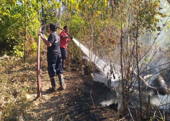 Nusabali.com - 18-ha-kebun-mete-di-buana-kusuma-dan-dukuh-terbakar