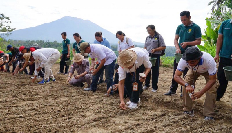 www.nusabali.com-kementerian-pertanian-tanam-padi-gaga-3-ha-di-rendang