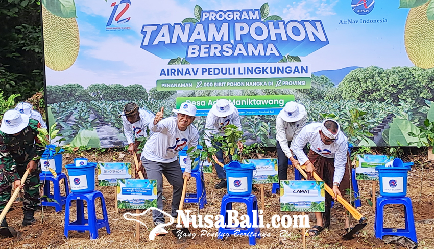 www.nusabali.com-tekan-emisi-karbon-airnav-indonesia-tanam-1000-bibit-nangka-di-gianyar-demi-alam-dan-masyarakat