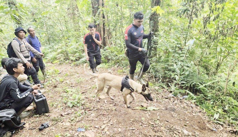 www.nusabali.com-wna-perancis-hilang-di-gunung-batukaru-pencarian-libatkan-anjing-pelacak