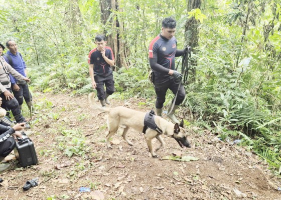 Nusabali.com - wna-perancis-hilang-di-gunung-batukaru-pencarian-libatkan-anjing-pelacak