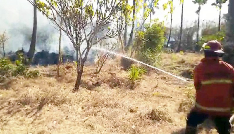 www.nusabali.com-10-ha-lahan-kebun-di-baturinggit-terbakar