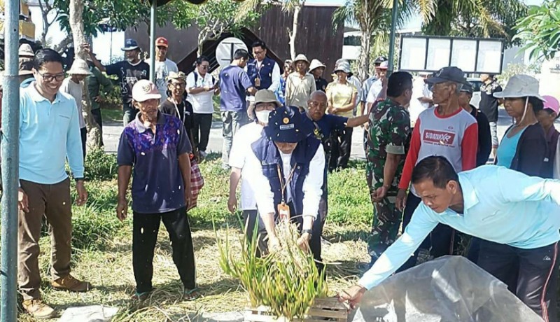 www.nusabali.com-petani-desa-takmung-ikut-sekolah-lapang