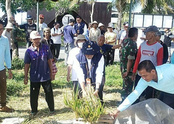 Nusabali.com - petani-desa-takmung-ikut-sekolah-lapang