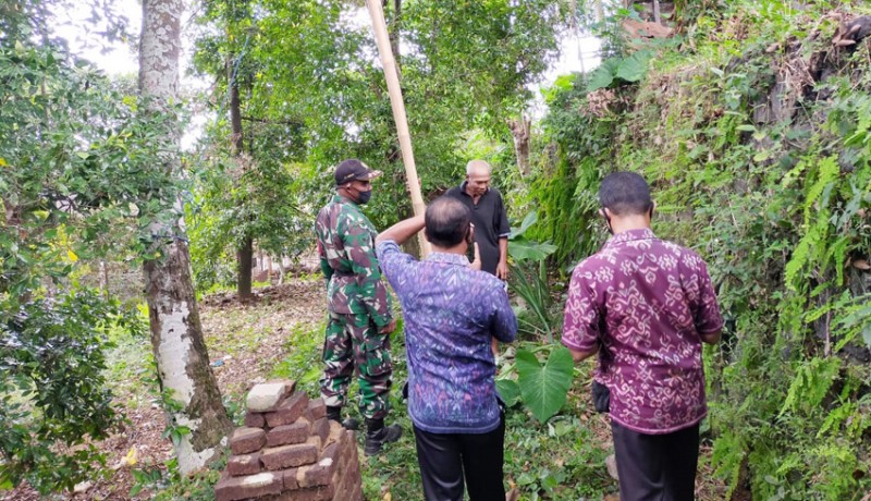 www.nusabali.com-cengkih-di-tabanan-diserang-jamur-putih