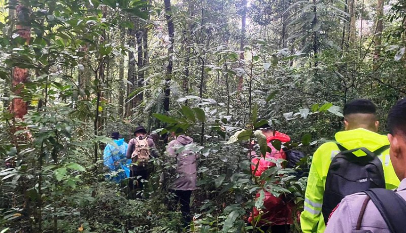 www.nusabali.com-tak-ketemu-pencarian-wisman-prancis-di-gunung-batukaru-dihentikan-sementara