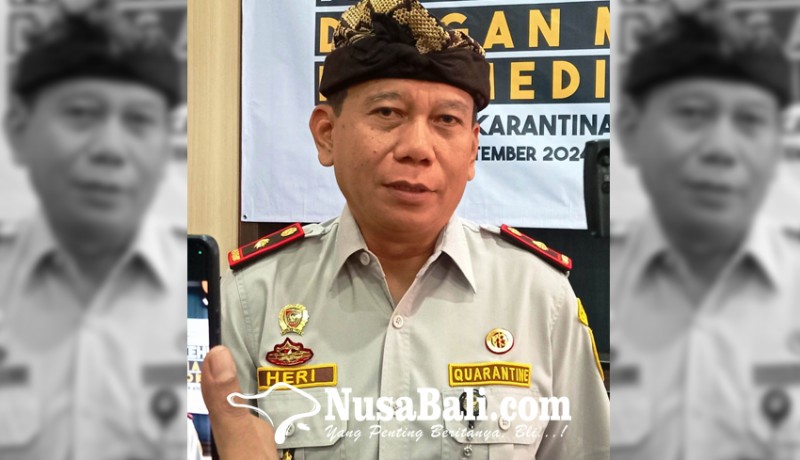 www.nusabali.com-bali-upayakan-manggis-masuk-australia