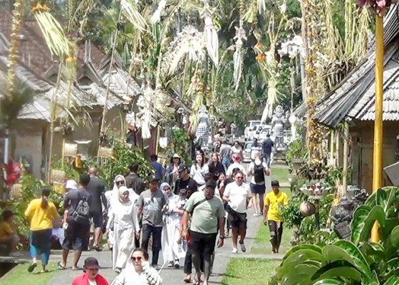 Nusabali.com - wisatawan-nikmati-suasana-galungan-di-penglipuran