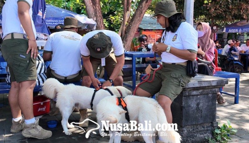 www.nusabali.com-satpol-pp-pariwisata-kenalkan-tourism-dogs