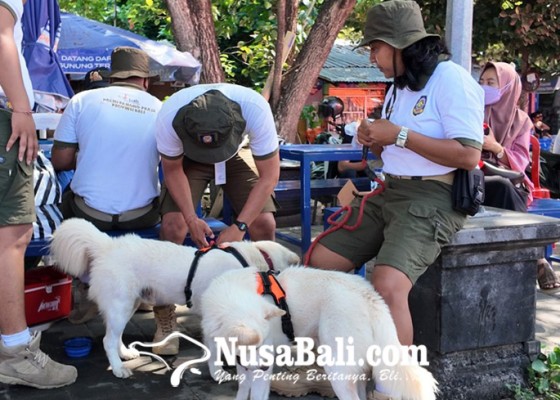 Nusabali.com - satpol-pp-pariwisata-kenalkan-tourism-dogs