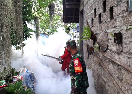 Nusabali.com - warga-desa-saba-gelar-fogging-massal