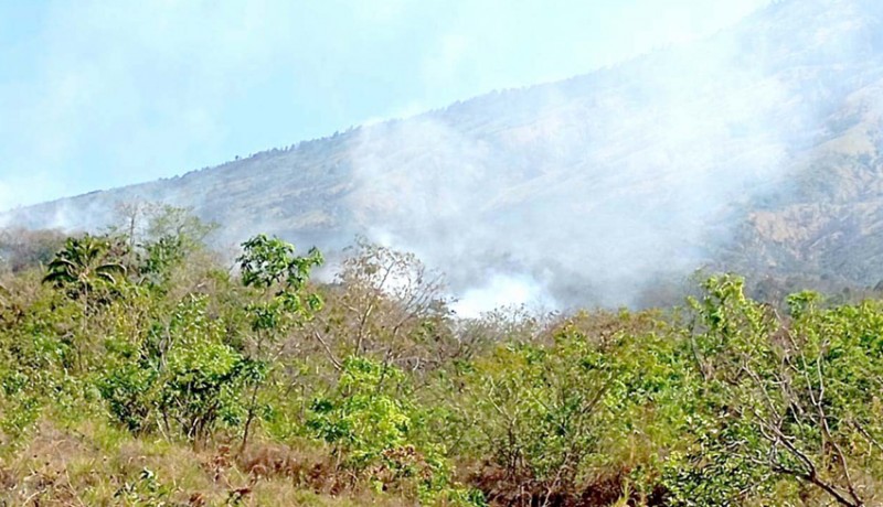 www.nusabali.com-hutan-desa-dukuh-terbakar