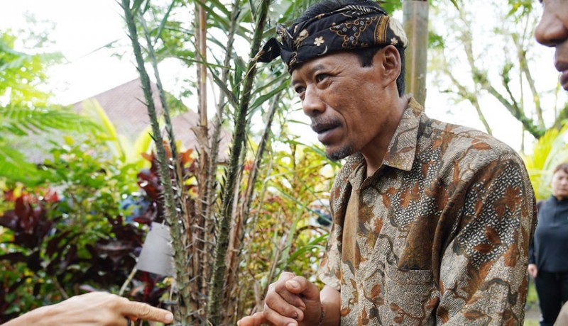 www.nusabali.com-agroforestri-salak-sibetan-jadi-kebanggaan-bali