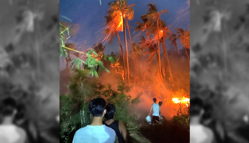 www.nusabali.com-kebun-bambu-dan-kelapa-3-hektare-terbakar