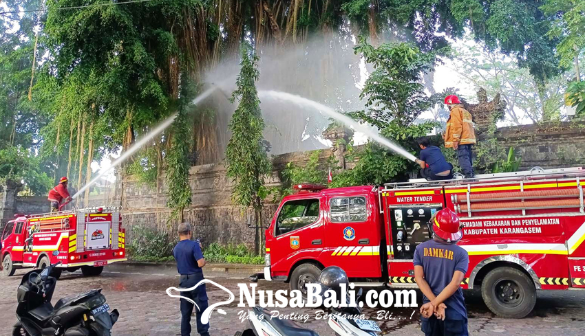 Pohon Beringin dan Rumah Terbakar