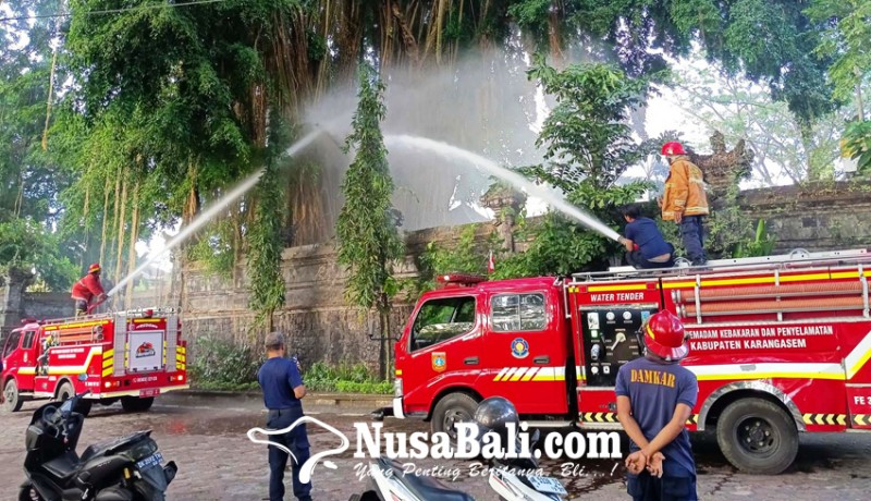 www.nusabali.com-pohon-beringin-dan-rumah-terbakar