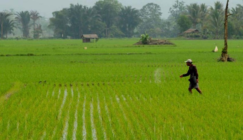 www.nusabali.com-konsolidasi-pangan-di-bali