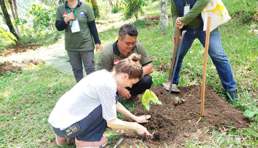 Produksi Kakao di Tabanan Meningkat