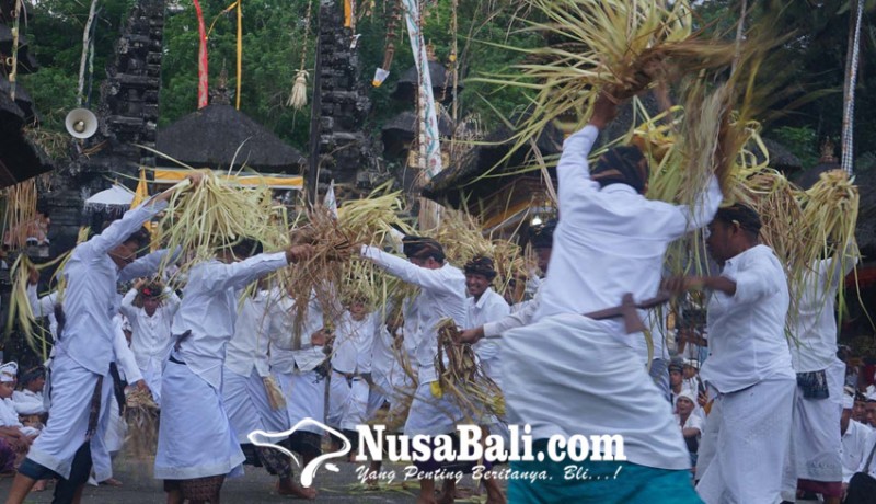 www.nusabali.com-matigtig-tandai-nyineb-usaba-kapat-di-pura-puseh-desa-adat-geriana-kangin-desa-duda-utara-karangasem