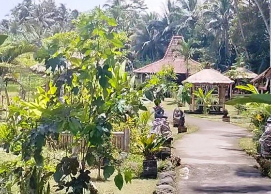 Nusabali.com - 397981-wisatawan-berkunjung-ke-desa-wisata