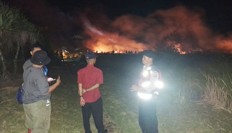 www.nusabali.com-lahan-1-hektare-milik-pemprov-bali-di-sumberklampok-terbakar