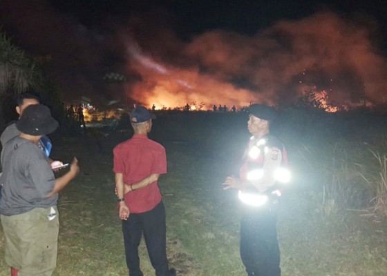 Nusabali.com - lahan-1-hektare-milik-pemprov-bali-di-sumberklampok-terbakar