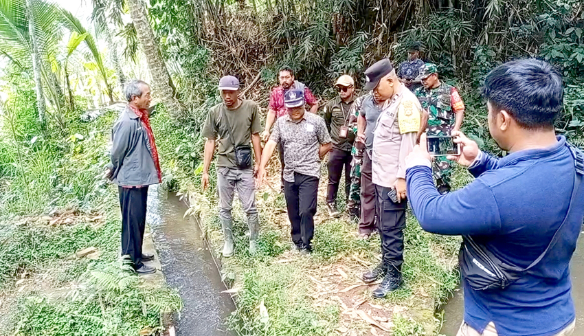 Soal Kekeringan Sawah di Subak Bebalang, Dinas PKP Bangli Cek Lapangan