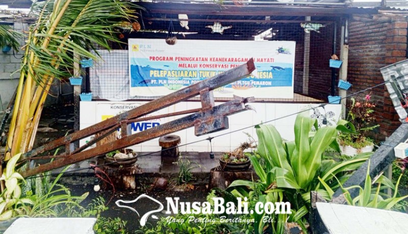 www.nusabali.com-penangkaran-penyu-dan-warung-di-pantai-penimbangan-diterjang-angin