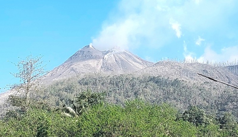 www.nusabali.com-erupsi-gunung-lewotobi-10-meninggal