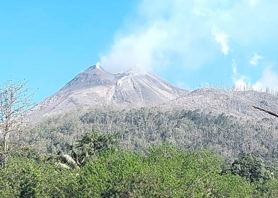 Nusabali.com - erupsi-gunung-lewotobi-10-meninggal