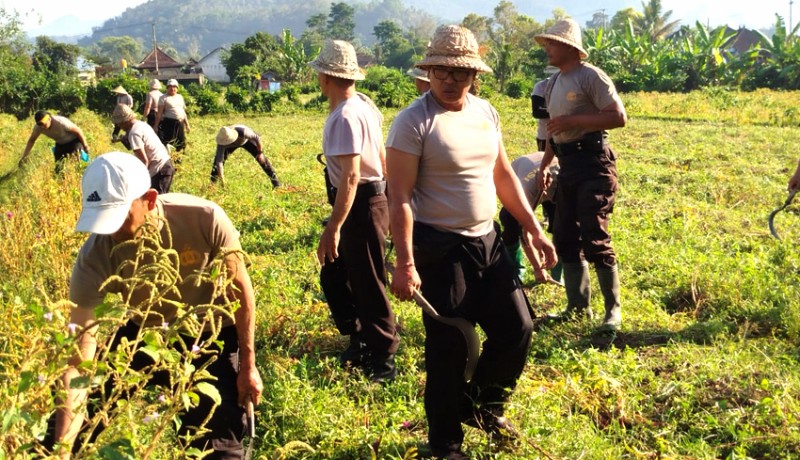 www.nusabali.com-polres-klungkung-siap-tanam-jagung