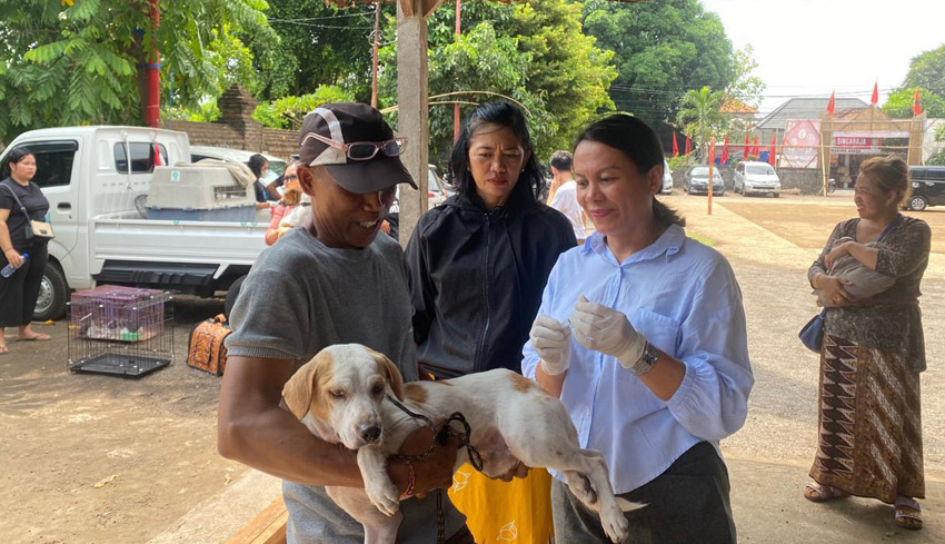 32 Ekor Anjing Positif Rabies di Denpasar