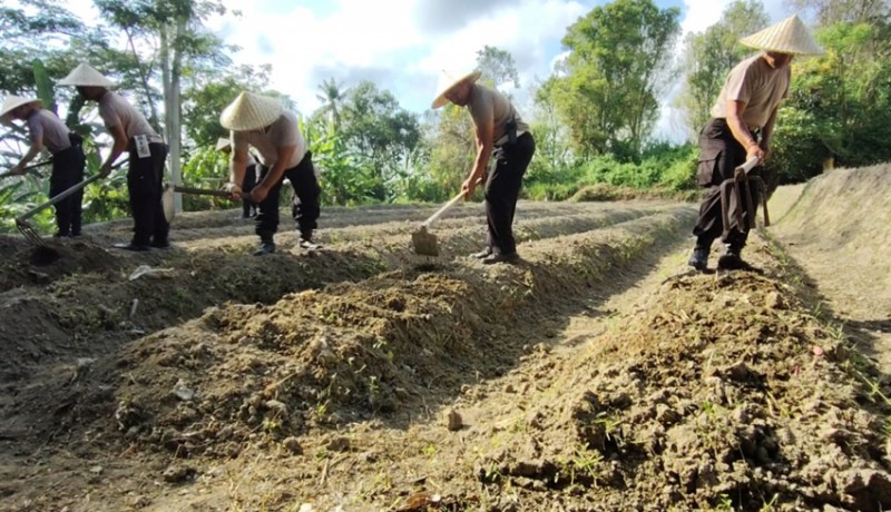 www.nusabali.com-polsek-gianyar-siapkan-lahan-tanam-jagung