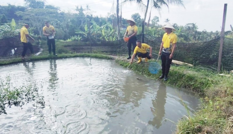 www.nusabali.com-polsek-gianyar-budidaya-ikan-dan-udang