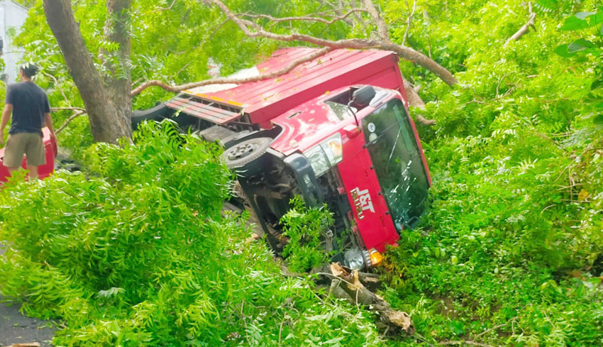 Truk Seruduk Pohon, 1 Korban Luka