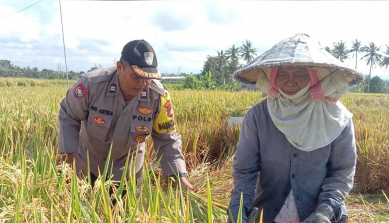 www.nusabali.com-polisi-kunjungan-interaktif-ke-petani