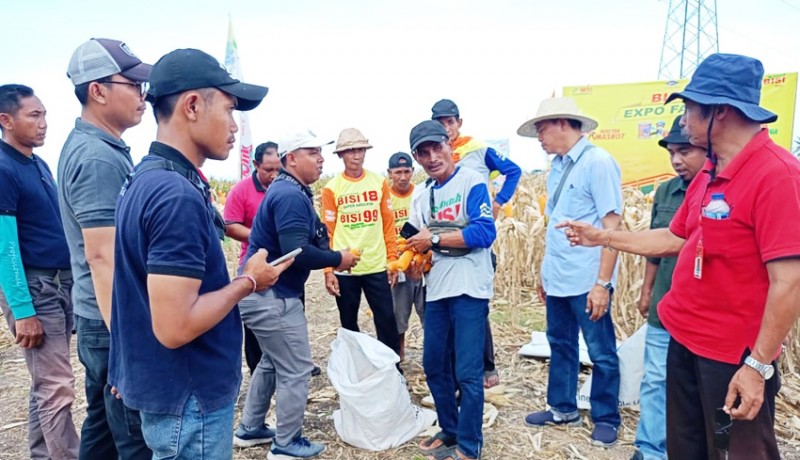 www.nusabali.com-jelang-hujan-petani-di-tabanan-bersiap-tanam-padi