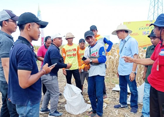 Nusabali.com - jelang-hujan-petani-di-tabanan-bersiap-tanam-padi