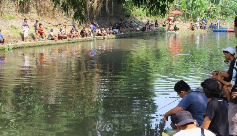 www.nusabali.com-lomba-mancing-air-deras-waja-fishing-meriahkan-hari-pahlawan-di-sungai-wangaya