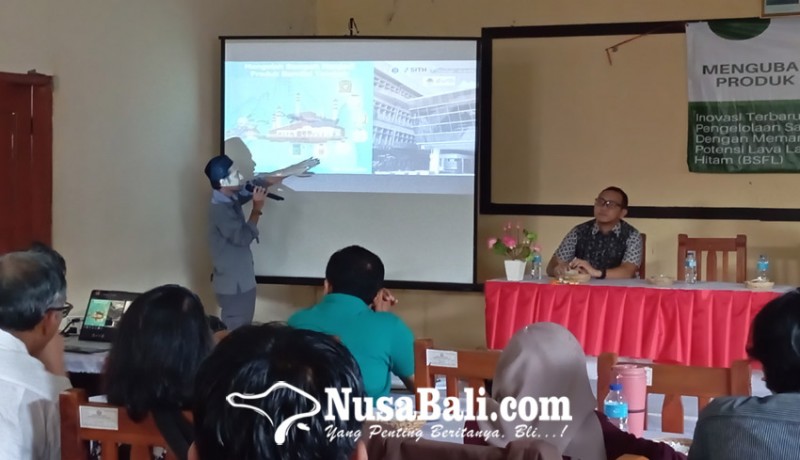 www.nusabali.com-gianyar-kembangkan-larva-lalat-tentara-hitam