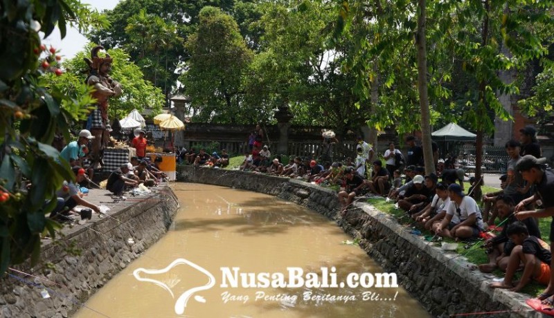 www.nusabali.com-lomba-mancing-st-tunas-harapan-banjar-kerta-bumi-sumerta-kaja-diikuti-900-pemancing