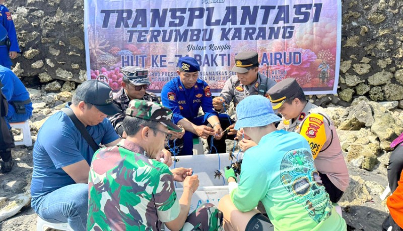 www.nusabali.com-transplantasi-terumbu-karang-di-nusa-penida