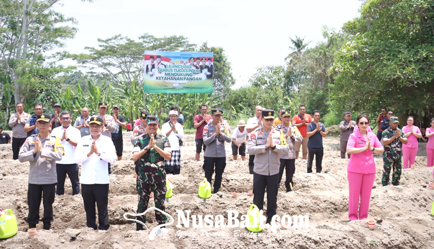 www.nusabali.com-kapolda-bali-tanam-bibit-jagung-di-beng