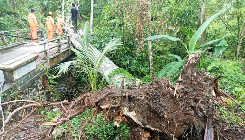 www.nusabali.com-tertimpa-pohon-pagar-jembatan-rusak