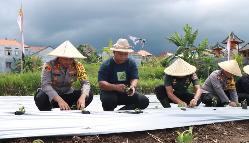 www.nusabali.com-polres-buleleng-luncurkan-gugus-ketahanan-pangan