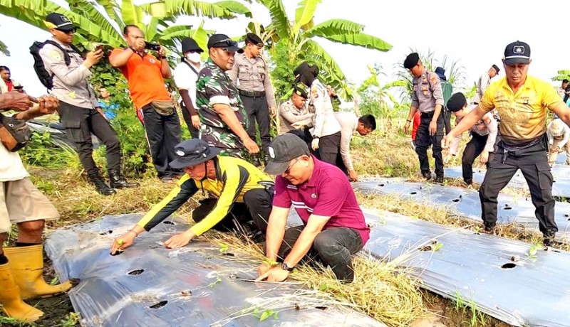 www.nusabali.com-sinergi-distan-denpasar-kepolisian-gerakan-tanam-cabai-di-subak-umalayu