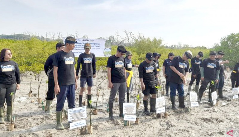 www.nusabali.com-bulog-dan-komunitas-bali-tanam-mangrove-di-tengah-tantangan-cuaca